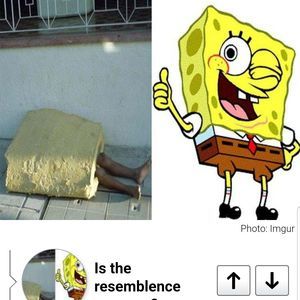 Meet your Posher, Noah